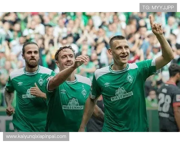 开云体育平台官网提供丰富的体育赛事资讯和专业的赛事分析,助你掌握第一手信息 开云体育平台官网提供丰富的体育赛事资讯和专业的赛事分析,助你掌握第一手信息