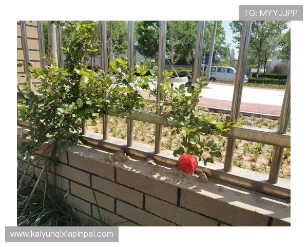 开开云体育入口常见问题解答，快速解决登录过程中遇到的各种困难